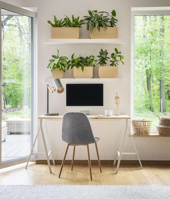 Une ambiance zen et nature dans le bureau - Ykario